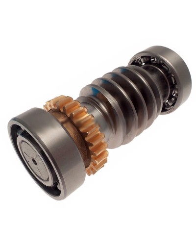 Червяк FROG Came 119RIA016 в Батайске Запчасти для шлагбаумов и автоматики Pintop.ru