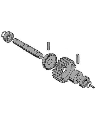 Вал в сборе C-BY Came 119RIC031 в Батайске Запчасти для шлагбаумов и автоматики Pintop.ru