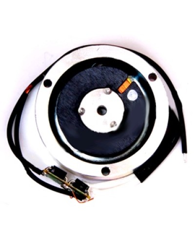 Электромагнит BY1500T Came 119RIY034 в Батайске Запчасти для шлагбаумов и автоматики Pintop.ru