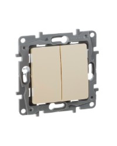 Переключатель двухклавишный 10AX Plus Legrand 672312 в Батайске Аксессуары для кабель-канала Pintop.ru