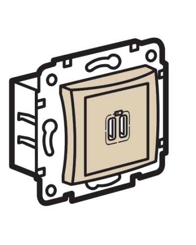 Устройство зарядное с коннекторами USB Legrand (774170) в Батайске Аксессуары для кабель-канала Pintop.ru