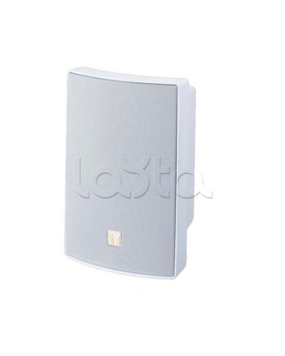 Громкоговоритель 15Вт, белый, BS/EN/ISO TOA BS-1015BSW в Батайске Системы оповещения и трансляции TOA Pintop.ru